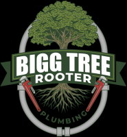 Bigg Tree Rooter & Plumbing