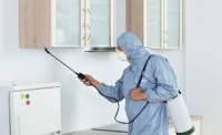 Pest Control Redcliffe