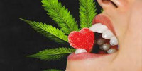 Shark Tank Keto Gummies Reviews: BEWARE | Keto ACV Gummies from Shark Tank