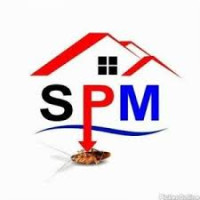 Bed Bug Treatment In Nagpur