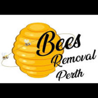 Bees Removal Perth