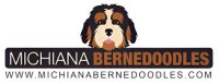 Michiana Bernedoodles