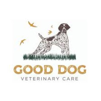 Good Dog Veterinary Care