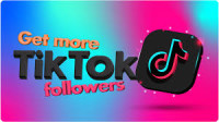 Have You Applied Tiktok Growth In Positive Manner?