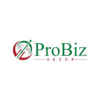 ProBiz Setup