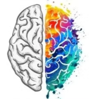 The Center for Executive Function at Healthy Minds