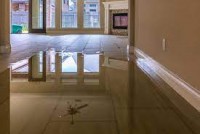 Bensons Cleaning Services