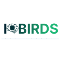 IQbirds: Empowering Your Digital Transformation with Innovation