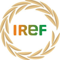 Indian Rice Exporters Federation - IREF