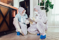 OZ Pest Control Hobart