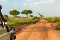 Uganda eVisa Requirements