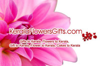 Send Mind-boggling Combo Gifts to Kerala at Amazing Deals!
