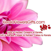 Send Freshly Baked Cakes to Thrissur Assured Same Day Delivery