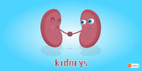 Kidney Cancer Treatment In India