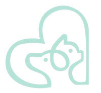 Lacoste Hospital Vet Near Me Pet Care Services