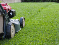 RototillerGuy