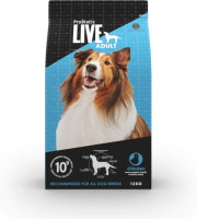 Pets Station UAE – Premium Dog Food & Treats