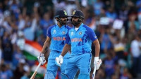 48 Laws of Cricket: Everything You Need to Know!