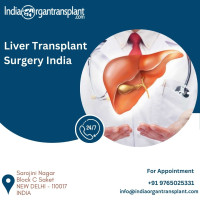 Liver Transplant Specialist in India