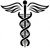 Seattle Nurse Delegation