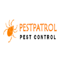 Wasp Control Sydney