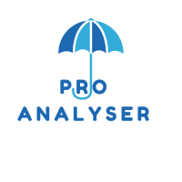 ProAnalyser – Instant Insights from Bank & GST Statements