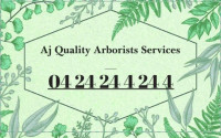 Tree Removal in Abbotsford