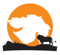 Gujarat Tours
