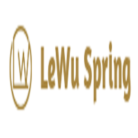 LeWu constant force spring manufacturers