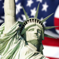 Find Immigration Law