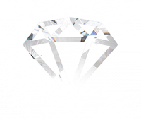 La Paradiso LLC