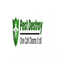 Cockroach Control Adelaide