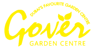 Best Online Plant Shop in Dubai | Plant Shop UAE | Plant Shop Abudhabi