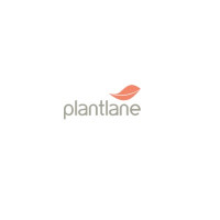 Buy Online Plants At Plantlane.com At Reasonable Cost