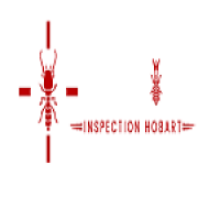 Termite Inspection Hobart