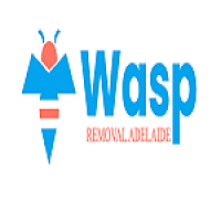 Wasp Removal Adelaide