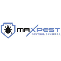 Ants Pest Control Canberra
