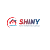 Shiny Flood Restoration