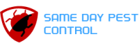 Pest Control Balwyn | same day pest control Balwyn