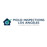 Mold Inspections Los Angeles