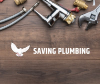Saving Plumbing