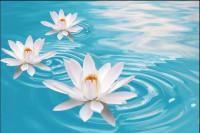 Happy Life Counselling