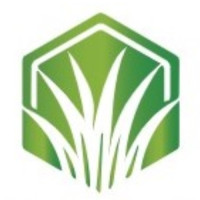 Buy Artificial Grass Carpet Dubai | Get Fake Turf Online in UAE