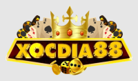 XÓC ĐĨA ONLINE