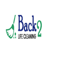 Back 2 Life Carpet Repair Brisbane