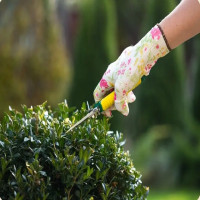 Landscaping Services