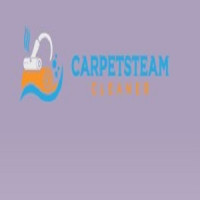 Carpet Steam Cleaner