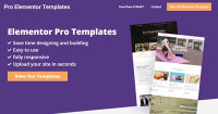 Pro Elementor Templates