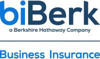 biBerk Insurance Services, Inc.