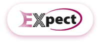 Expect Transactions Services | PRO Service in Dubai